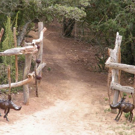 Addo Dung Beetle Guest Farm Villa Eksteriør billede
