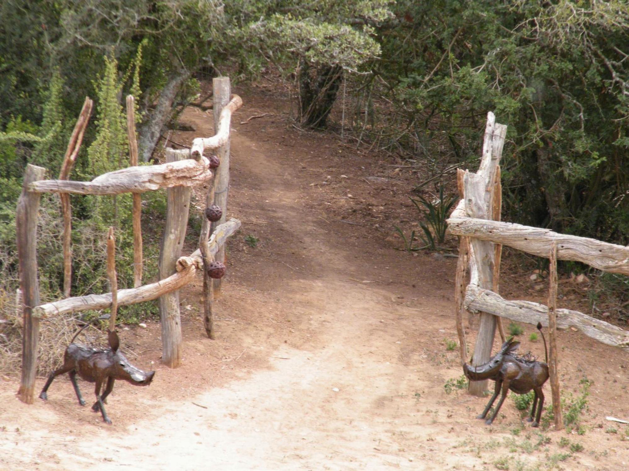 Addo Dung Beetle Guest Farm Villa Eksteriør billede