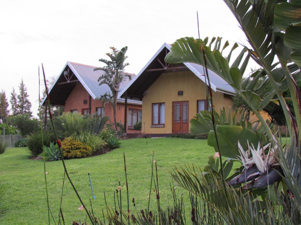 Addo Dung Beetle Guest Farm Villa Værelse billede