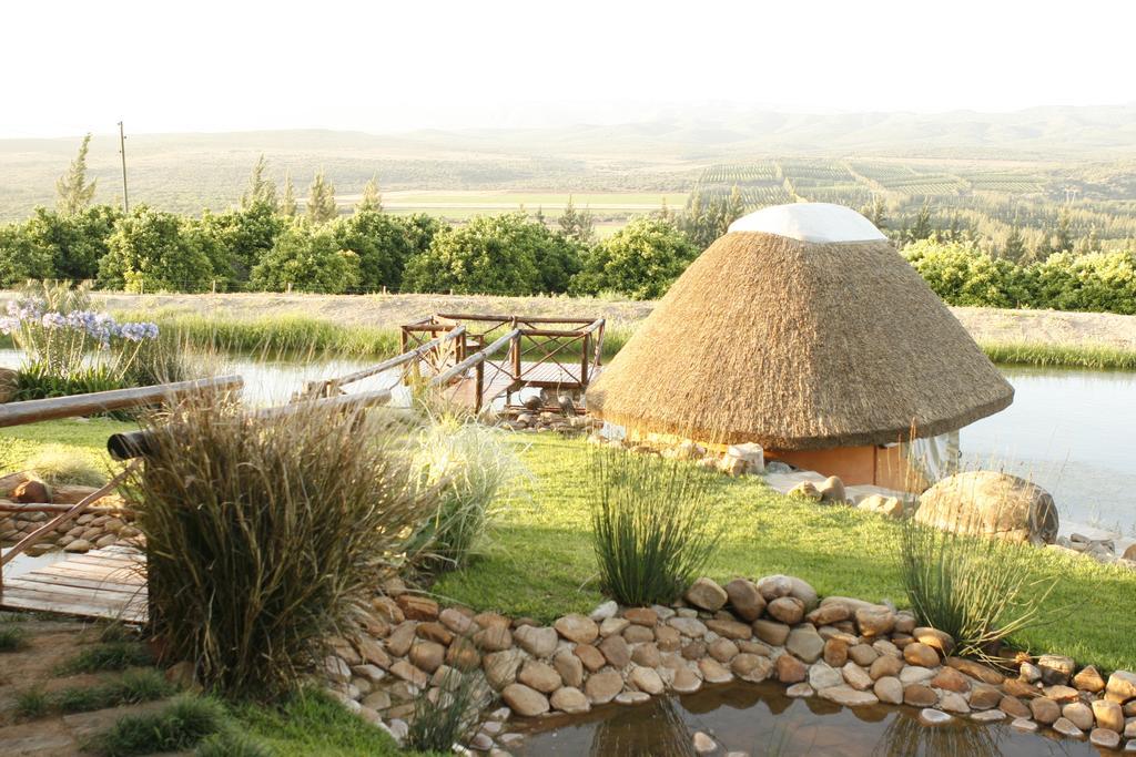 Addo Dung Beetle Guest Farm Villa Eksteriør billede