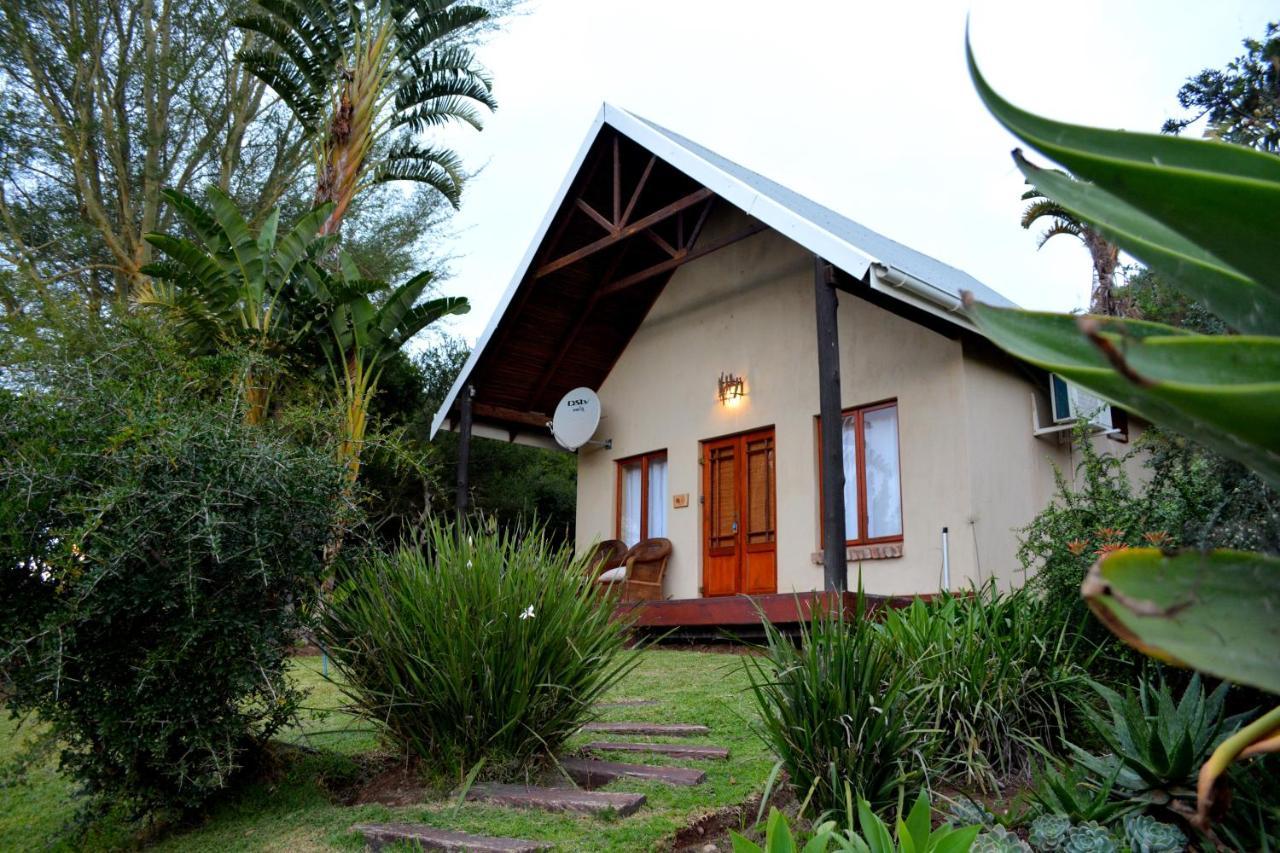 Addo Dung Beetle Guest Farm Villa Eksteriør billede